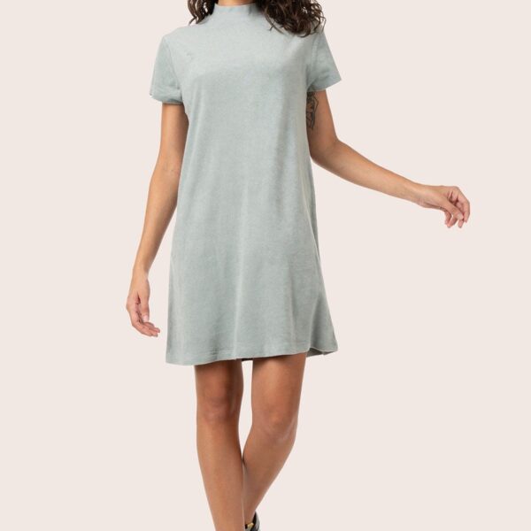 Terry Knit T shirt Dress with Abacuss Color