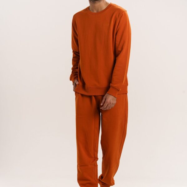 Organic Cotton Basic Sweat Shirt
